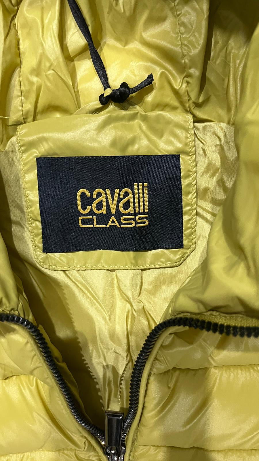 Piumino con cappuccio Cavalli Class TX T42V SB067 Giallo lime/verde oliva Vintage Y2K (L) — foto 5
