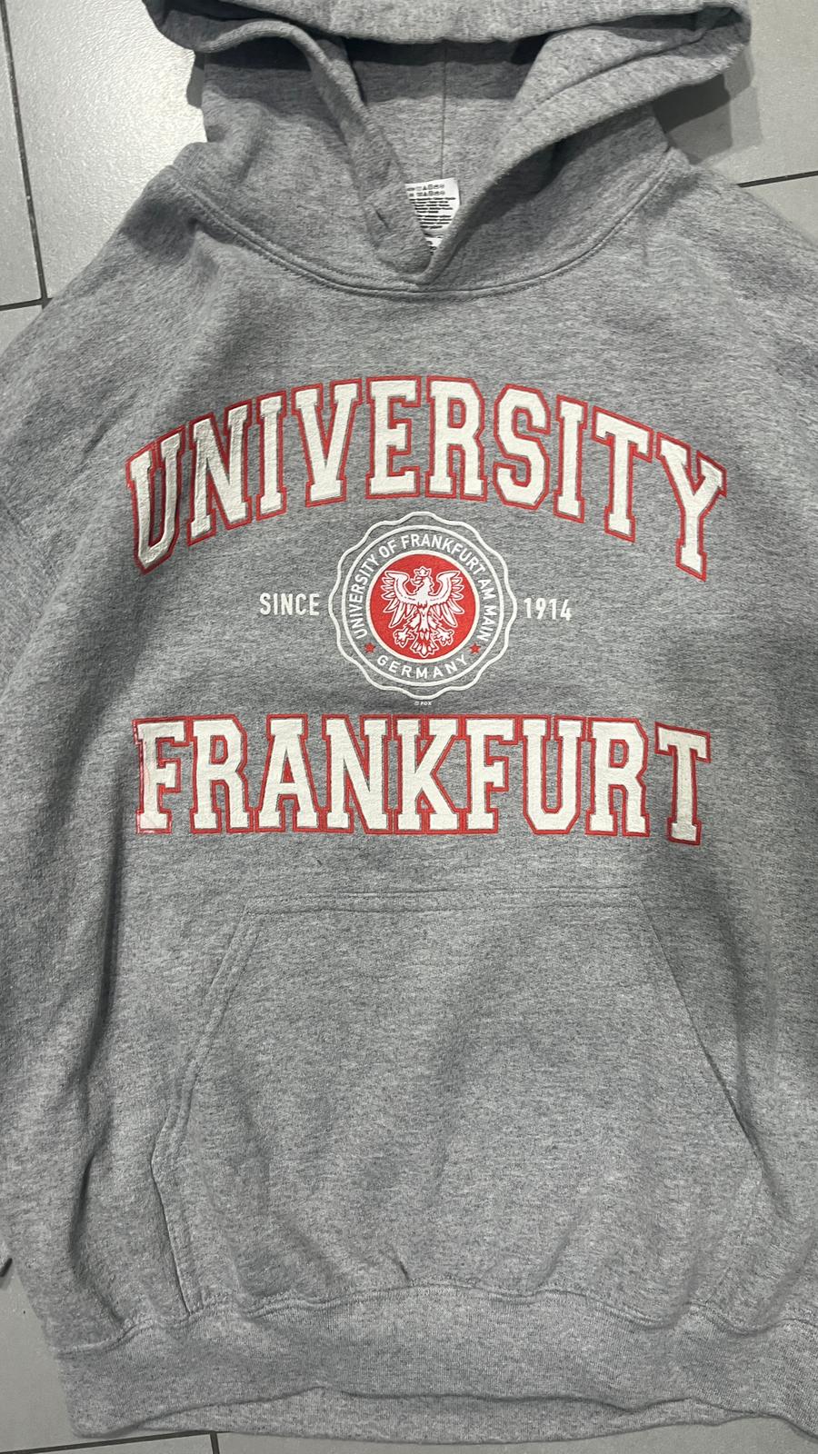 Felpa University Frankfurt Gray (M)