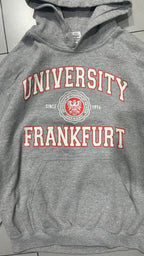 Felpa University Frankfurt Gray (M)
