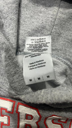 Felpa University Frankfurt Gray (M)