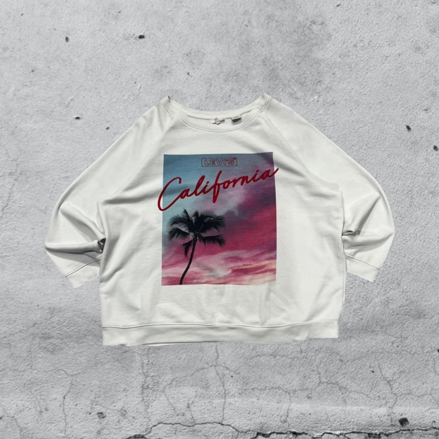 Felpa Levis Gicollo Boxy Fit (3XL) Printed