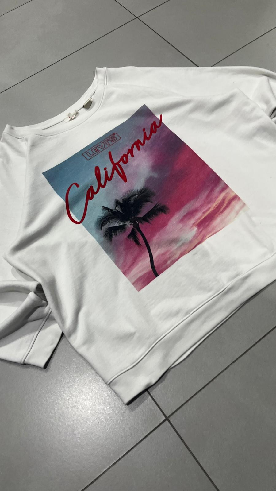 Felpa Levis Gicollo Boxy Fit (3XL) Printed