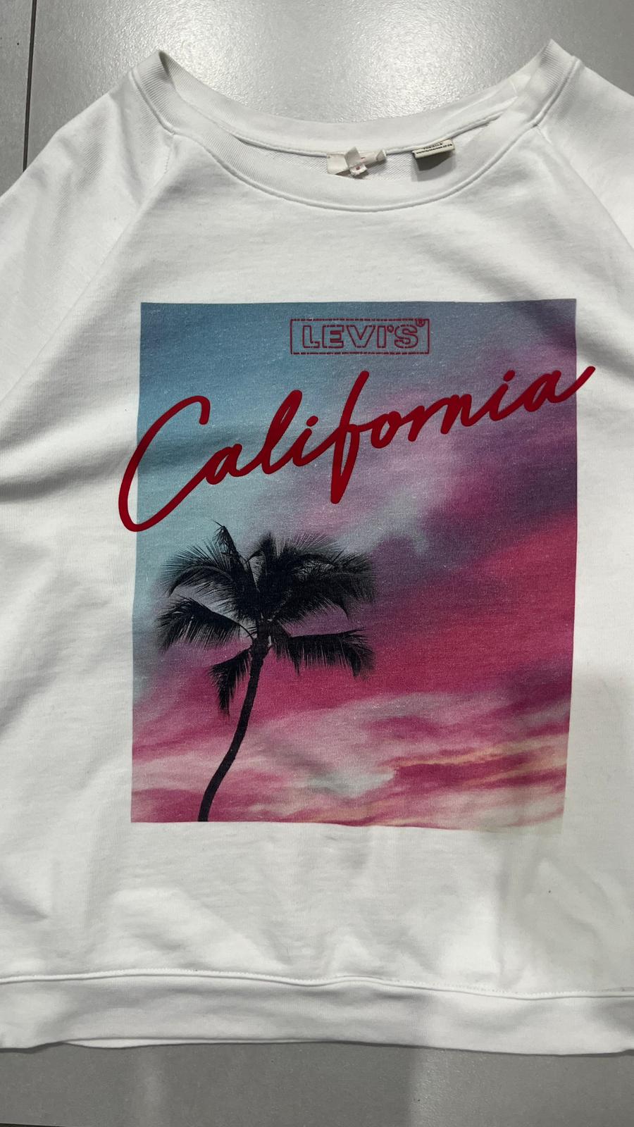 Felpa Levis Gicollo Boxy Fit (3XL) Printed