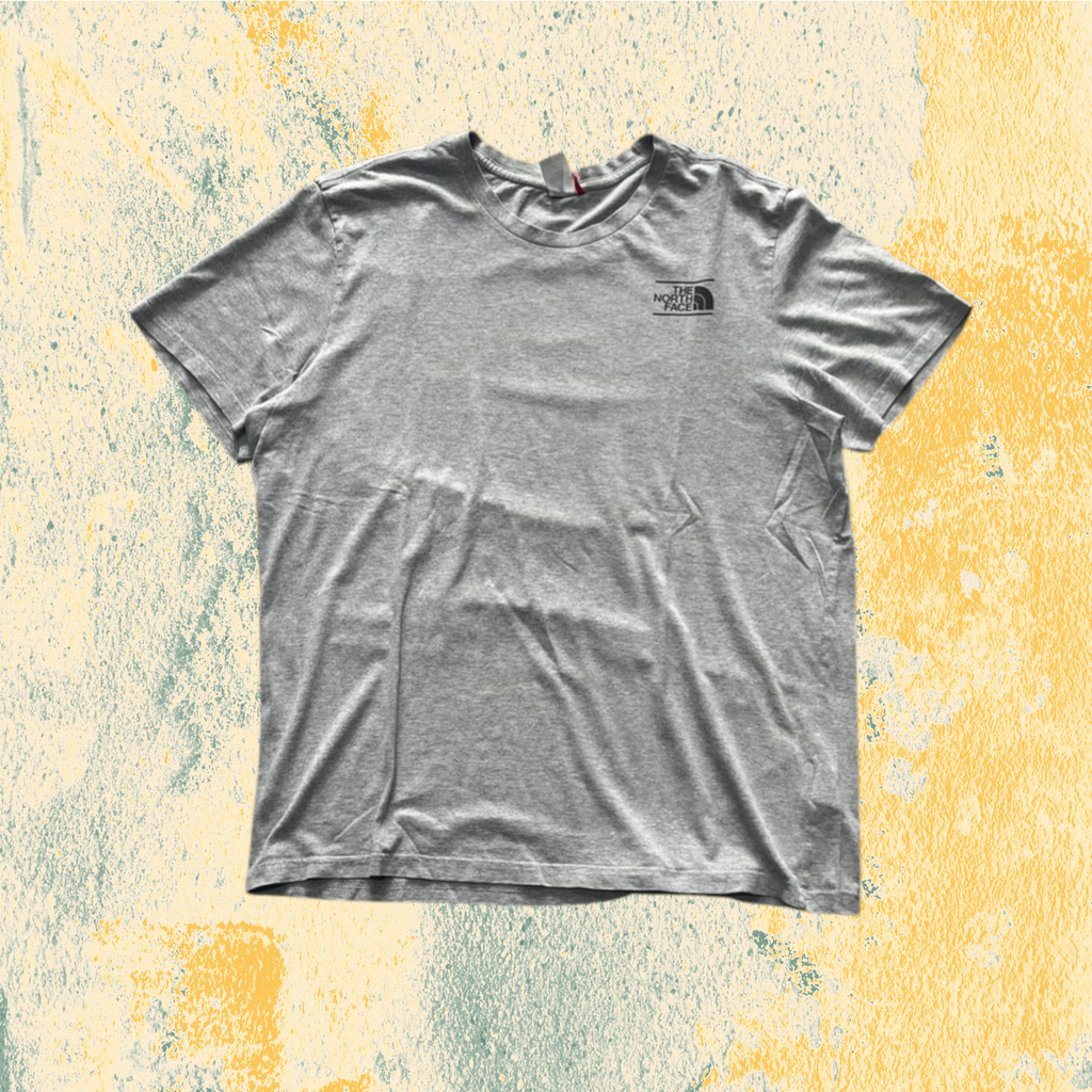 T-Shirt The North Face Grigia con Stampa (L)
