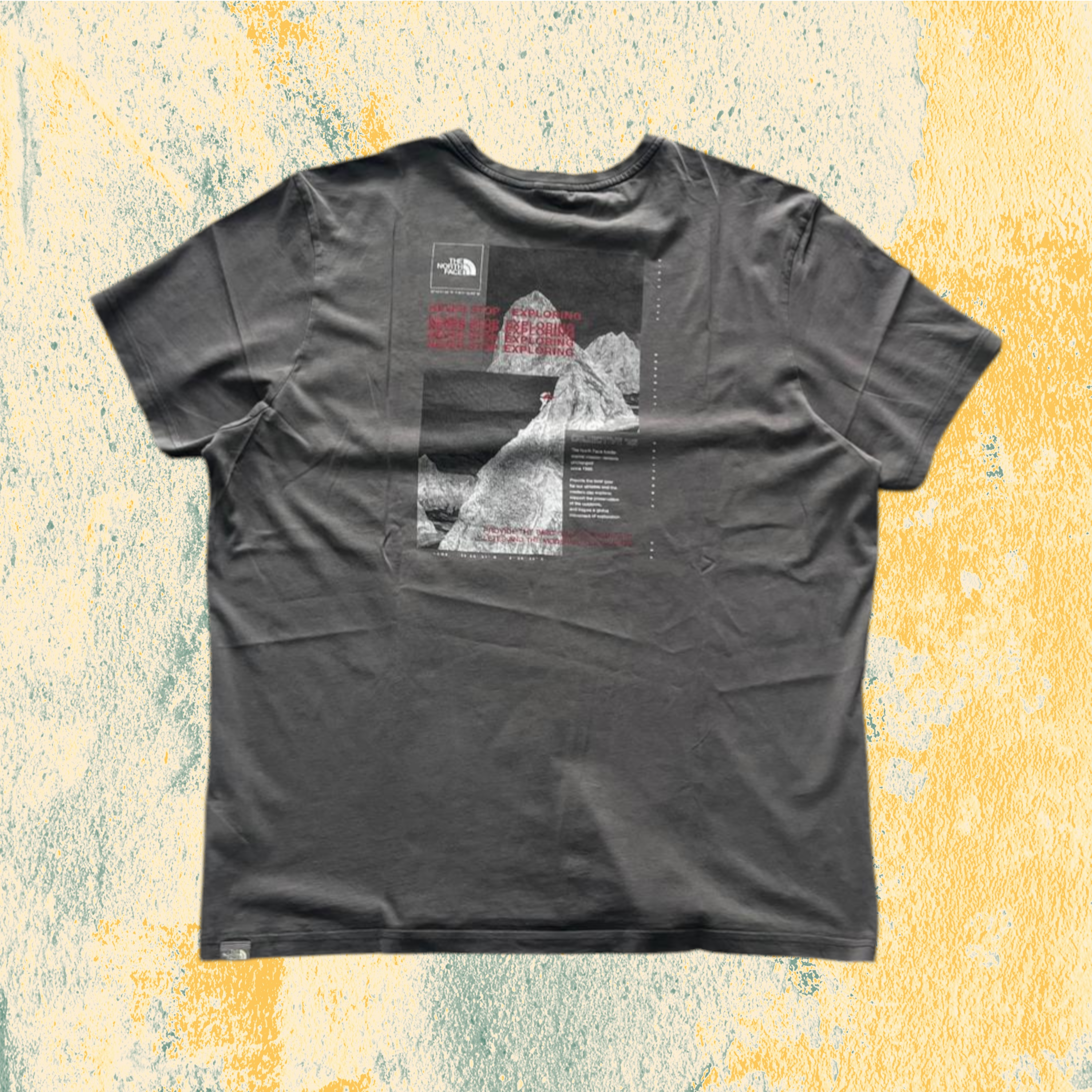 T-Shirt The North Face Grigio Piombo con Stampa (XL)