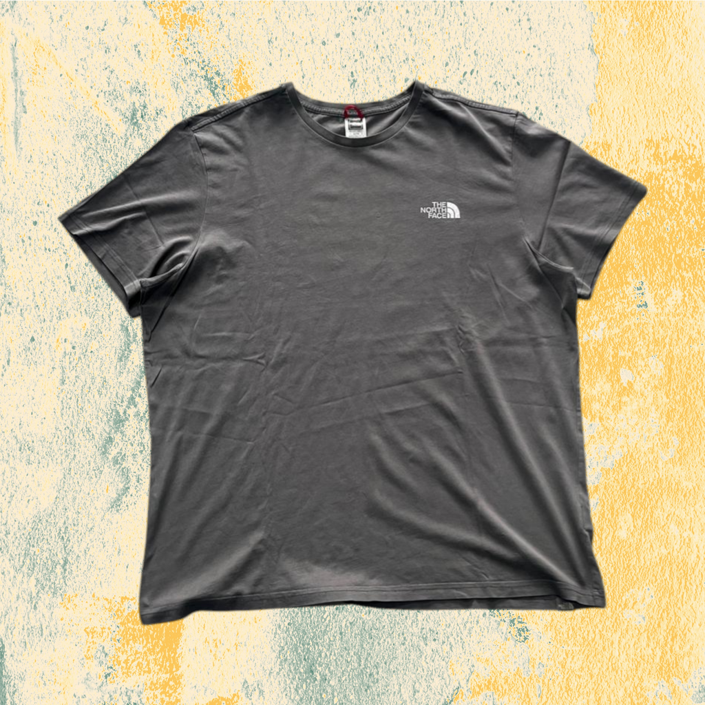 T-Shirt The North Face Grigio Piombo con Stampa (XL)