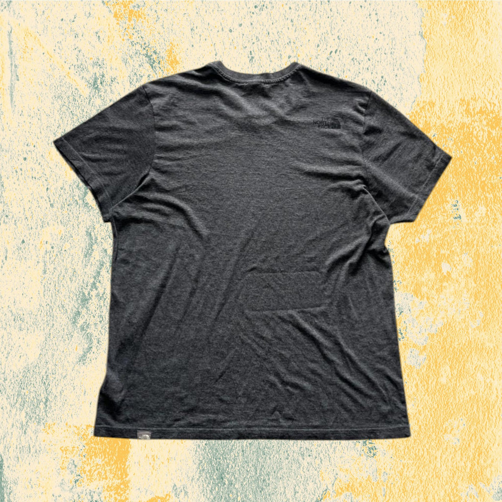 T-Shirt The North Face Grigio Piombo (L)