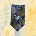 Cravatta Dior Custom con Logo Ricamato